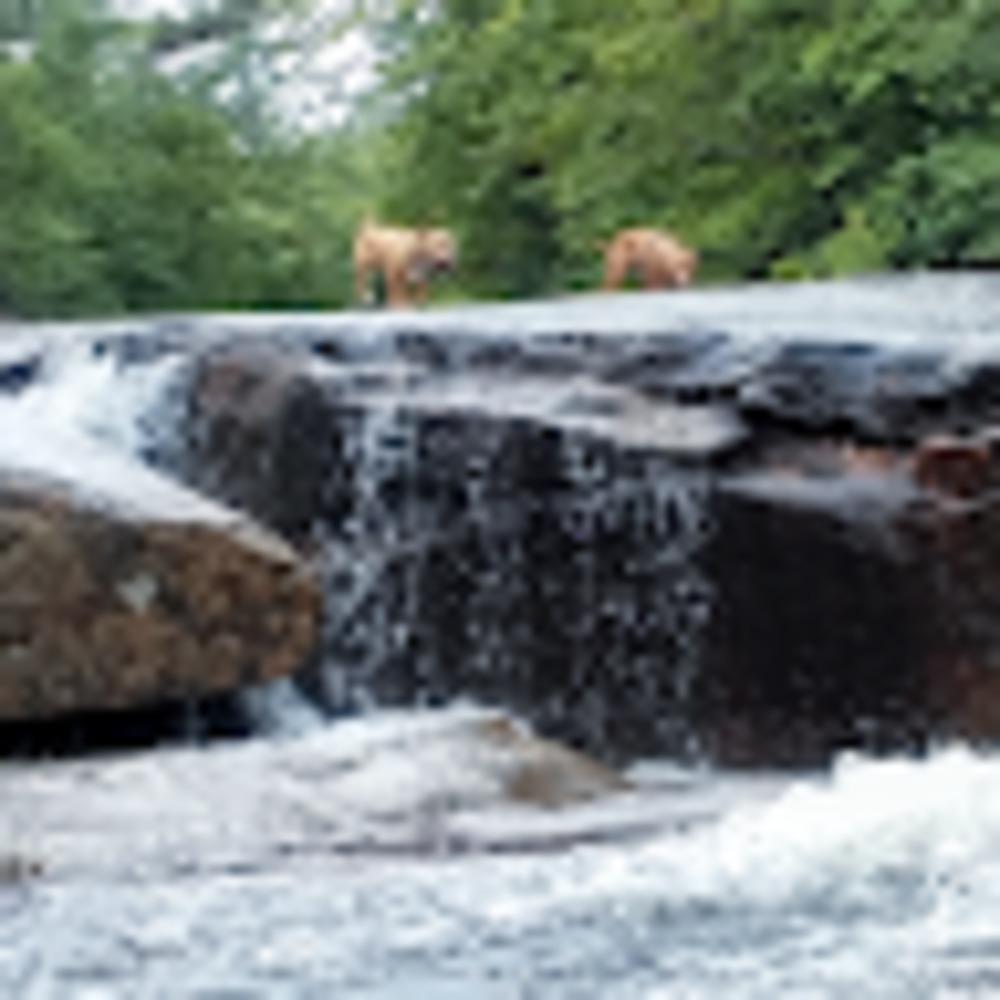 Meet your Posher, The